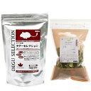 お買い得セット イースター デグーセレクション 400g+国産 デグーの食事 副菜 ビタミン野菜 100g 関東当日便