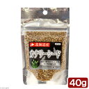 黒瀬ペットフード 自然派宣言 北海道産カナリーシード 40g【HLS_DU】 関東当日便