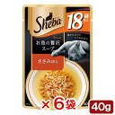 シーバ アミューズ 18歳以上 お魚の贅沢スープ ささみ添え 40g 6袋入り 関東当日便