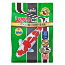 キョーリン ひかり中粒 1.2kg 関東当日便