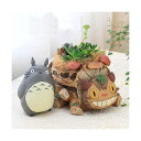 (観葉植物)ジブリプランター 多肉寄せ植え となりのトトロ ...