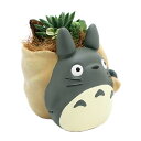 (観葉植物)ジブリプランター 多肉寄せ植え となりのトトロ トトロがお届け(植え込み完成品)(1鉢)