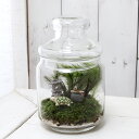 (観葉植物)苔Terrarium アニマルランド カメ 説明書付 テラリウムキット 本州・四国限定