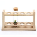 (観葉植物)苔Terrarium スリムガラスセット(木製台座付き) シッポゴケ 説明書付