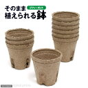 ジフィーポット（そのまま植えられる鉢）　丸型5．5cm・10個入【サカタのタネ】【関東当日便】