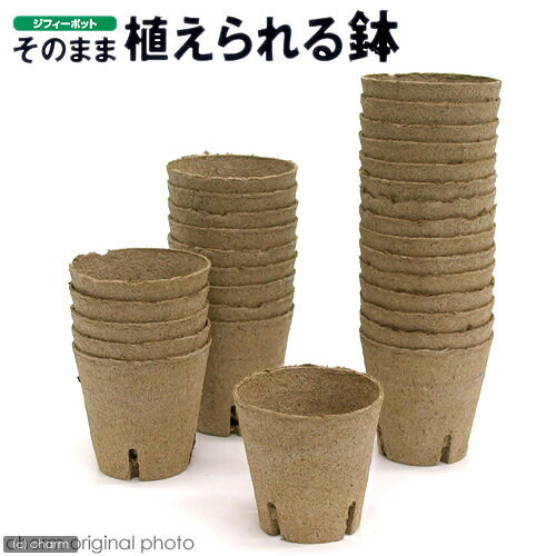 ジフィーポット（そのまま植えられる鉢）　丸型8cm（30個入）　サカタのタネ　関東当日便