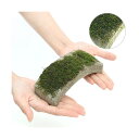 和風石材 巻きたて 未活着 苔付 石橋 小 長さ15cm 水槽用オブジェ アクアリウム用品