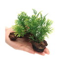 アーティフィシャルプランツ(人工水草)流木付 Coral Fern(1個)