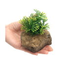 穴あき溶岩石付 アーティフィシャルプランツ(人工水草) Coral Fern(1個)