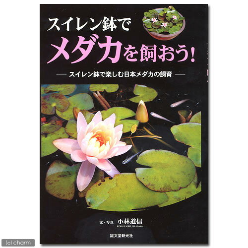 スイレン鉢でメダカを飼おう！　スイレン鉢で楽しむ日本メダカの飼育【関東当日便】【HLS_DU】