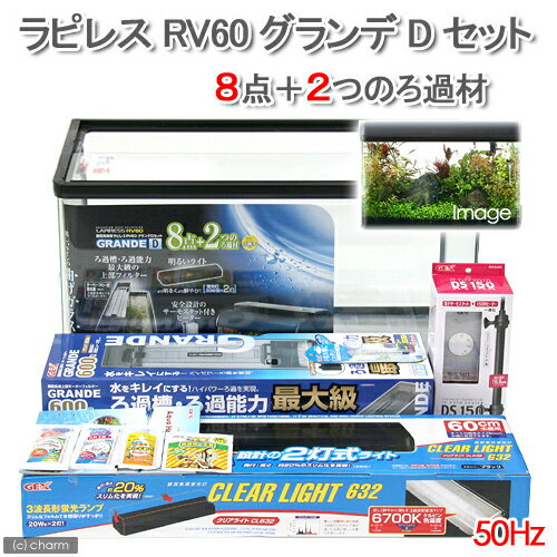 ☆《お一人様1点限り》【50Hz】ラピレスRV60　グランデD　8点＋2セット　50Hz（東日本用）●【関東当日便】【HLS_DU】強力なフィルターが付いた60cm水槽セット！