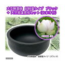 ■同梱不可・中型便手数料(ビオトープ)(水草)大型睡蓮鉢 超軽量タイプ ブラック+天竺斑蓮育成セット 本州・四国限定 才数200