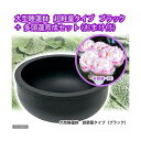 同梱不可・中型便手数料(ビオトープ)(水草)大型睡蓮鉢 超軽量タイプ ブラック+多頭蓮育成セット 本州・四国限定 才数200