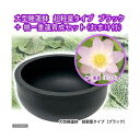 ■同梱不可・中型便手数料(ビオトープ)(水草)大型睡蓮鉢 超軽量タイプ ブラック+桃一重蓮育成セット 本州・四国限定 才数200