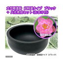 ■同梱不可・中型便手数料(ビオトープ)(水草)大型睡蓮鉢 超軽量タイプ ブラック+火花育成セット 本州・四国限定 才数200