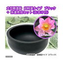 ■同梱不可・中型便手数料(ビオトープ)(水草)大型睡蓮鉢 超軽量タイプ ブラック+赤蓮育成セット 本州・四国限定 才数200