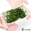 (水草)ホソバミズゼニゴケ 2パック