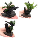 (水草)置くだけ簡単 レイアウト流木 3個セット(1セット)(水上葉)