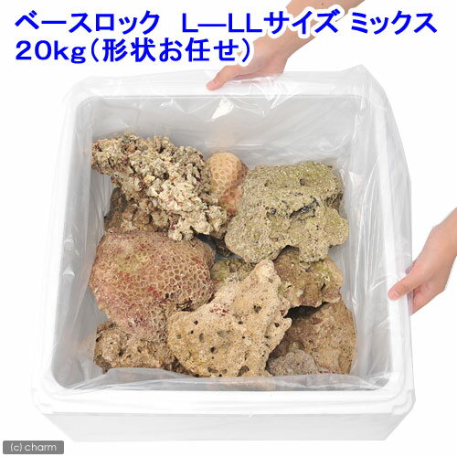 ◎ベースロック　L—LLサイズミックス　20kg（形状お任せ）《北海道航空便要保温》