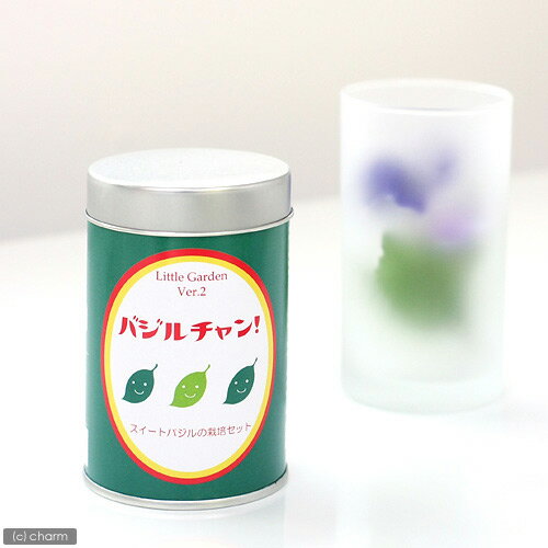 リトルガーデン　Ver．2　バジルチャン！【関東当日便】背が高い缶だからそのまま栽培できます！