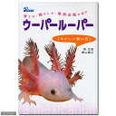 ウーパールーパー やさしい飼い方 関東当日便
