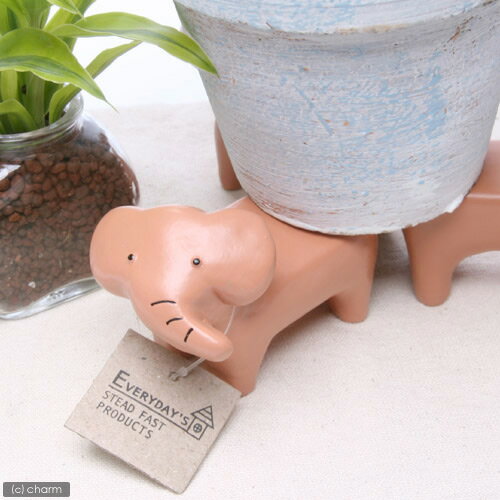 ֡ݥåȥեåȡ ڤб_