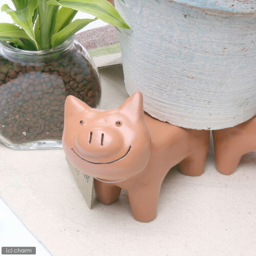 ֡ݥåȥեåȡ֥ ڤб_