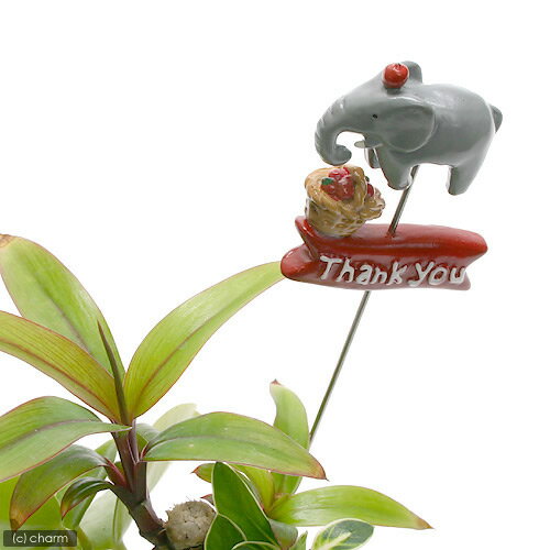 ߥ˥ߥ˥˥ޥԥåTHANKYOU ڤб_