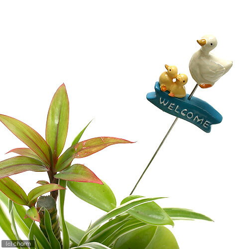 Ԥ10¤եߥ˥ߥ˥˥ޥԥåWELCOMEҥ ڤб_