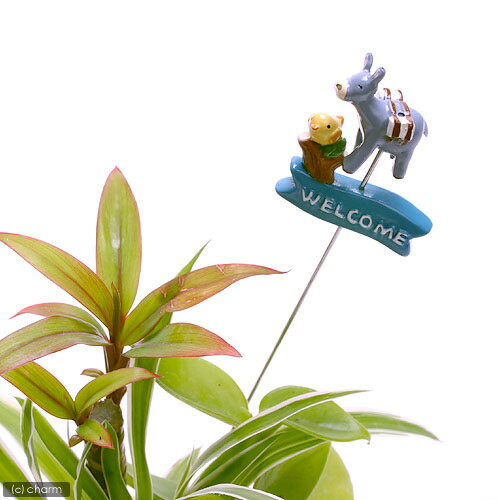 Ԥ10¤եߥ˥ߥ˥˥ޥԥåWELCOME ڤб_