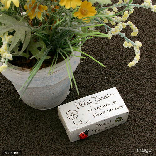 ץ󡡥֥åƥȥॷ ڤб_