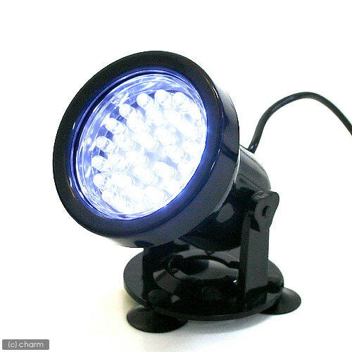 完全防水　LED36灯スポットライト（白）110V【関東当日便】【HLS_DU】熱帯魚を綺麗にライトアップ！