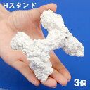 C.P.Farm 人工ライブロックレプリカ Hスタンド 3個(形状お任せ) 関東当日便