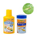 (めだか)ヒメダカ/ひめだか(6匹) 安心スタートセット(餌&水質調整剤つき) 本州四国限定