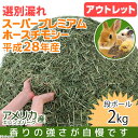 アウトレット品 28年産新刈 選別漏れスーパープレミアムホースチモシー 段ボール箱 2kg 訳あり 牧草 チモシー うさぎ 小動物 関東当日便