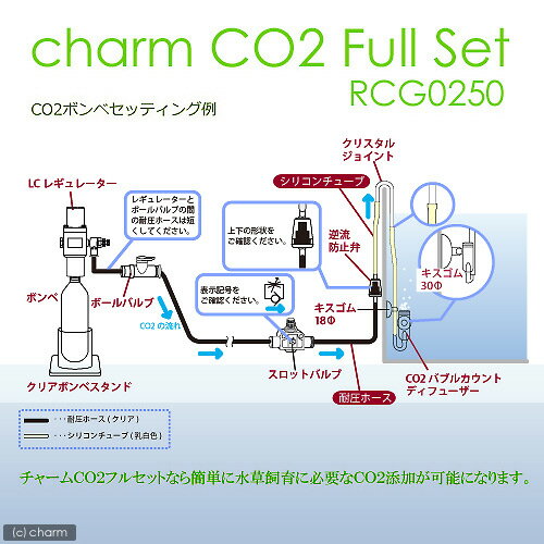 チャームオリジナルCO2フルセット　インテリジェント　RCG0250【関東当日便】