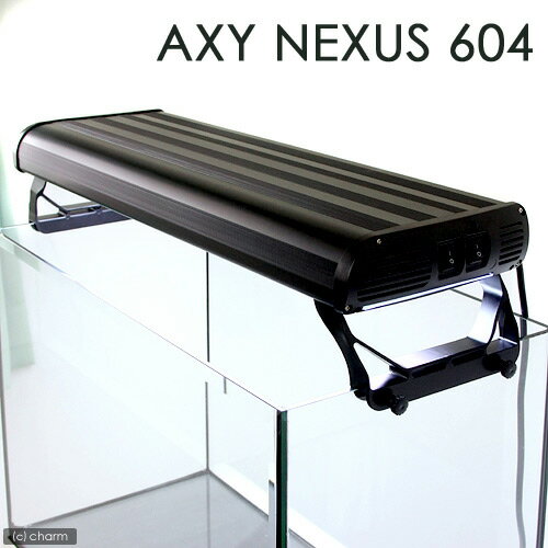 AXY　NEXUS　604　（アクシーネクサス604）ホワイト　ブラックボディ【関東当日便】【HLS_DU】