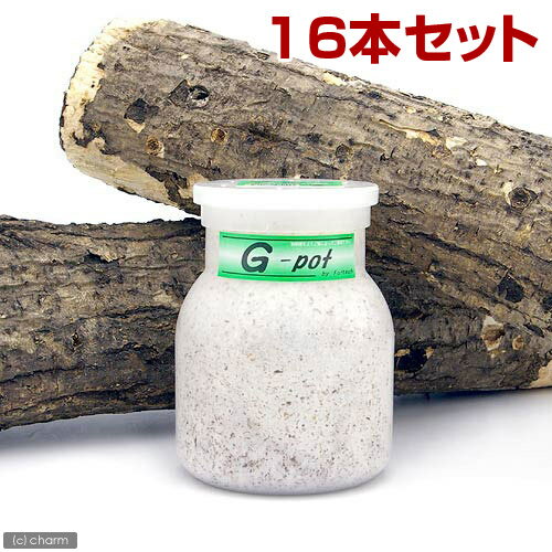 《メーカー直送》☆G—pot　550cc（20本）