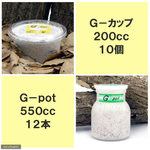 《メーカー直送》☆G—pot　550cc（12本）　＋　G—カップ　200cc（10個）