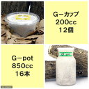 《メーカー直送》☆G—pot　850cc（16本）　+　G—カップ　200cc（12個）