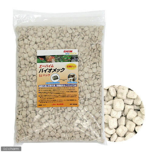 ʪʪΥޥǽХå5åȥХå ڤб_