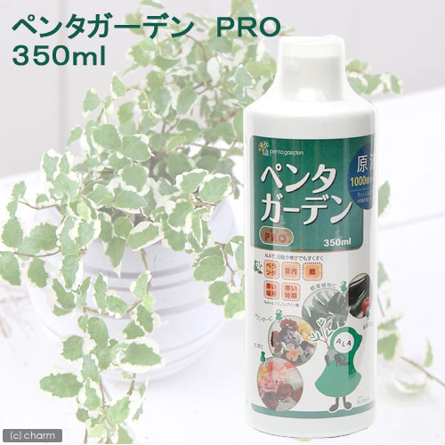 ペンタガーデン　PRO　350ml【関東当日便】