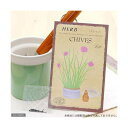 ハーブ HERB (チャイブ) 品番:806 家庭菜園 関東...