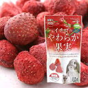 イチゴのやわらか果実　12g【関東当日便】