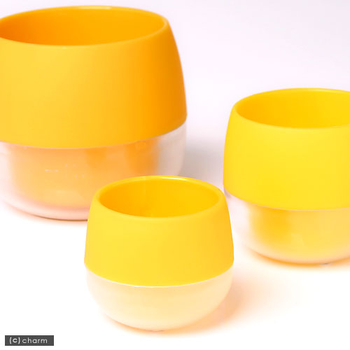 ݥåס塼ȡȥ롡ӥӡȭʥ˦455cm ڤб_