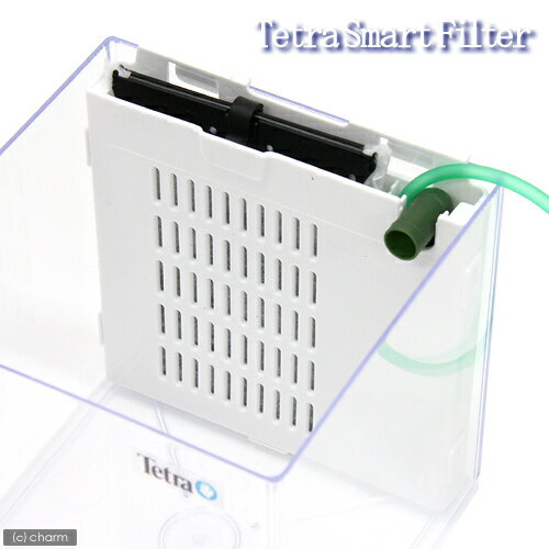 ˥ХХåѡƥȥ顡ޡȥե륿ۥ磻 ڤб_