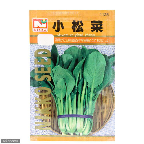 野菜の種　小松菜　品番：1125　家庭菜園　関東当日便
