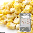 厳選素材フリーズドライフード コーン 10g【関東当日便】