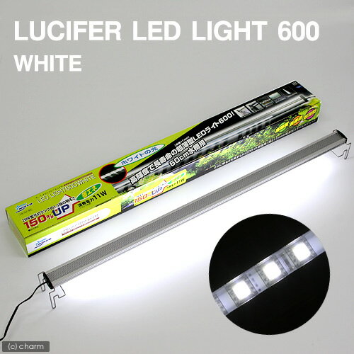 ルシファ　LEDライト600　ホワイト【関東当日便】【HLS_DU】