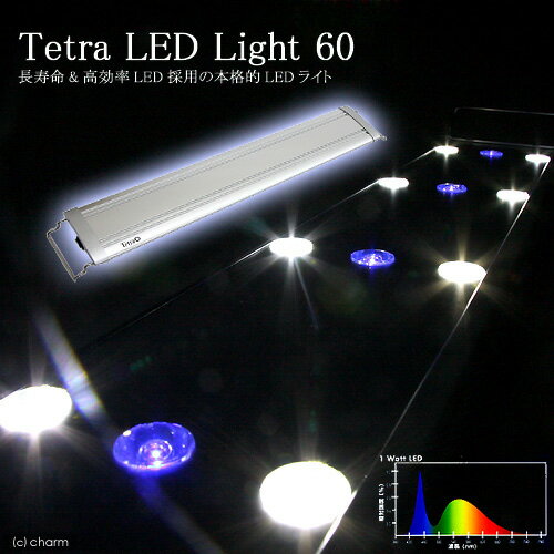 《お一人様2点限り》テトラ　LEDライト　60【関東当日便】高照度・高効率ライトシステム！